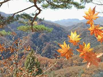 米非司酮片药店可以买吗“奔县游”火热，激发县域经济新动能